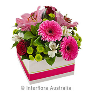 Mia  Large Box of Pink and white Blooms